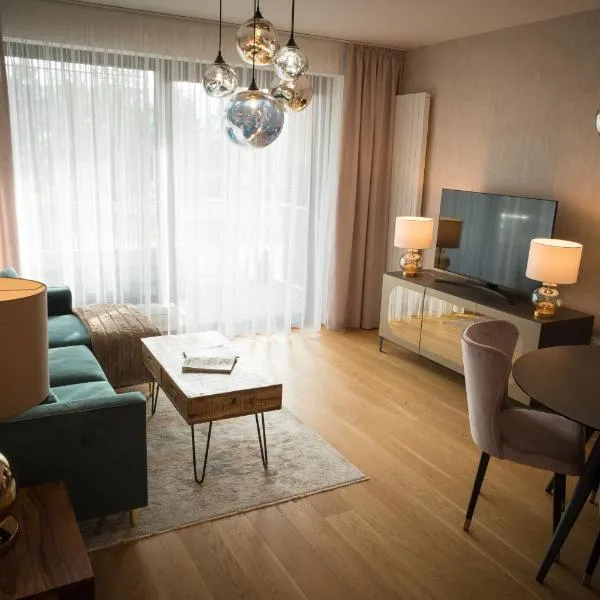 Apartmán Vážka - MOLO Lipno，位于伏尔塔瓦河畔利普诺的酒店