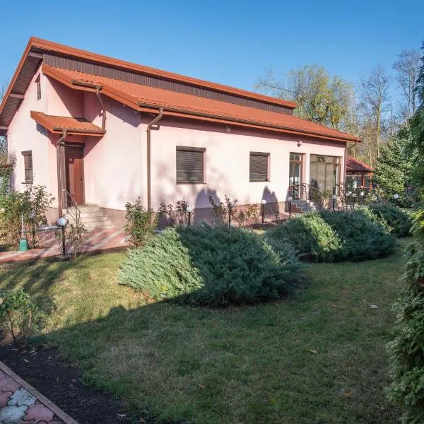 Casa Bițina，位于Adîncata的酒店