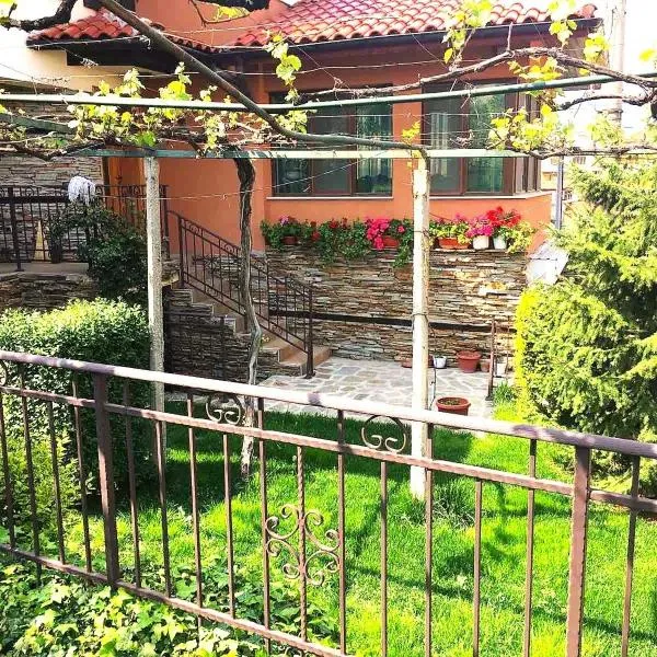 Villa Rogachevi，位于斯特雷尔恰的酒店