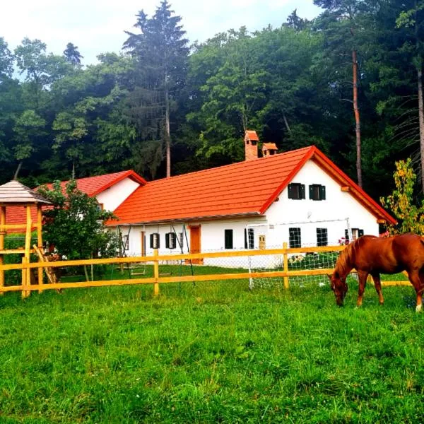 Turistična kmetija Hiša ob gozdu pri Ptuju，位于Gočova的酒店