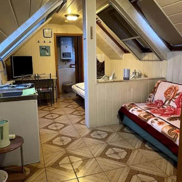 Cozy Ferienapartment in Golßen nahe Tropical Island，位于Kasel-Golzig的酒店