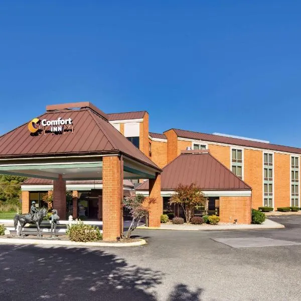 弗吉尼亚州霍斯中心康福特因酒店，位于汀博尔瑞之的酒店