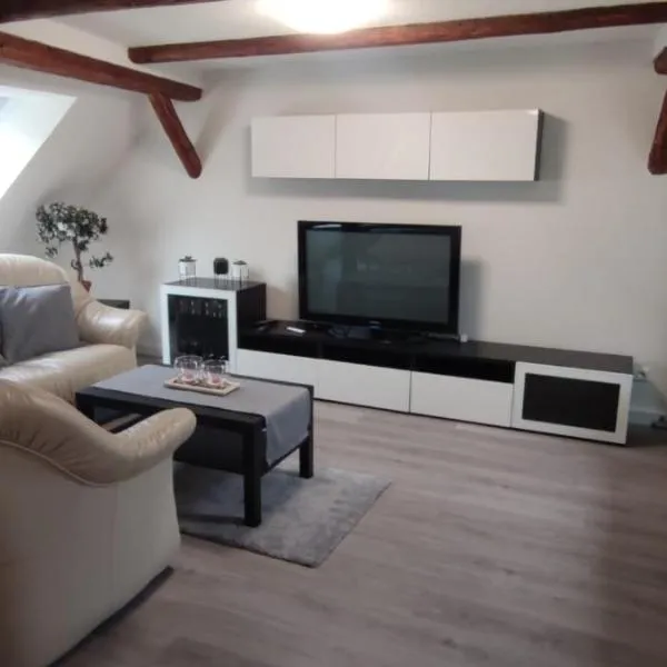 Ferienwohnung in Timmenrode am Harz，位于Timmenrode的酒店
