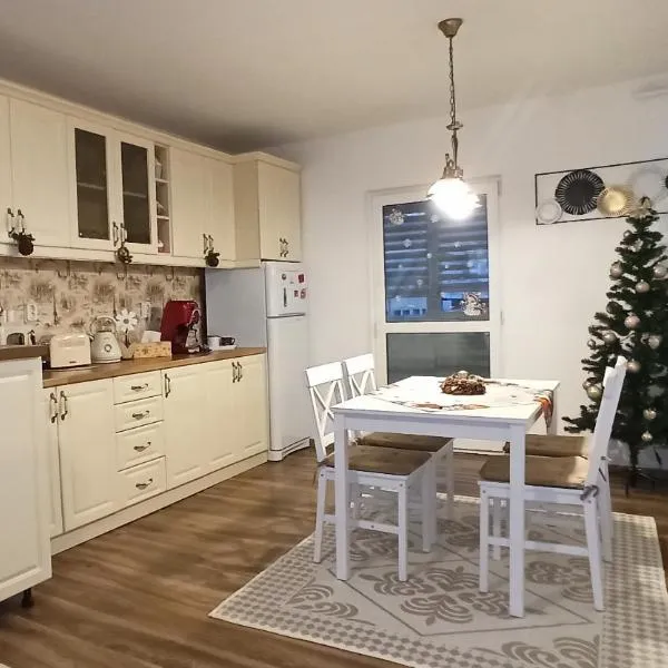 Apartament Atena，位于Baru的酒店