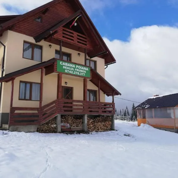 Cabana Poiana Dealul Frumos，位于戈尔达德苏斯的酒店