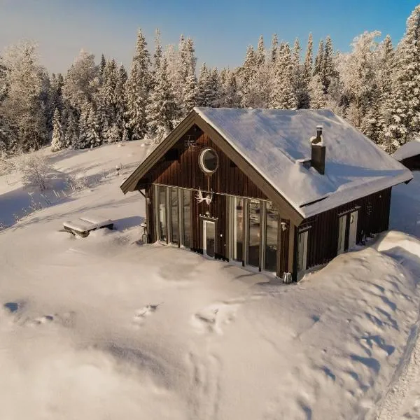 Ottsjö-Åre Lodge，位于Vålådalen的酒店