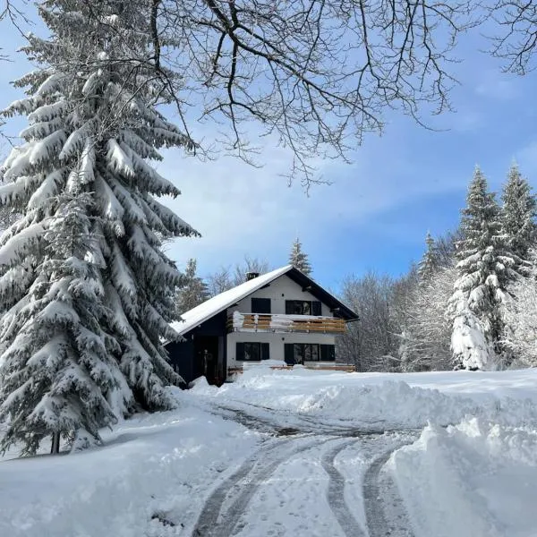 Chalet Mint，位于代尔尼采的酒店