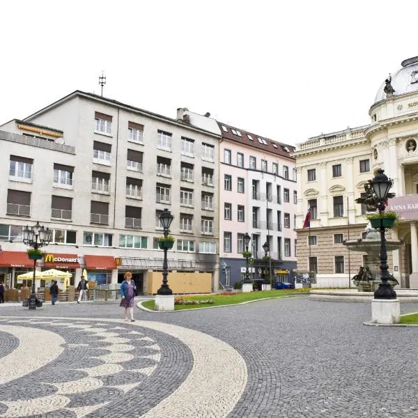 瑞巴斯卡布拉纳街老城区公寓，位于布拉迪斯拉发的酒店