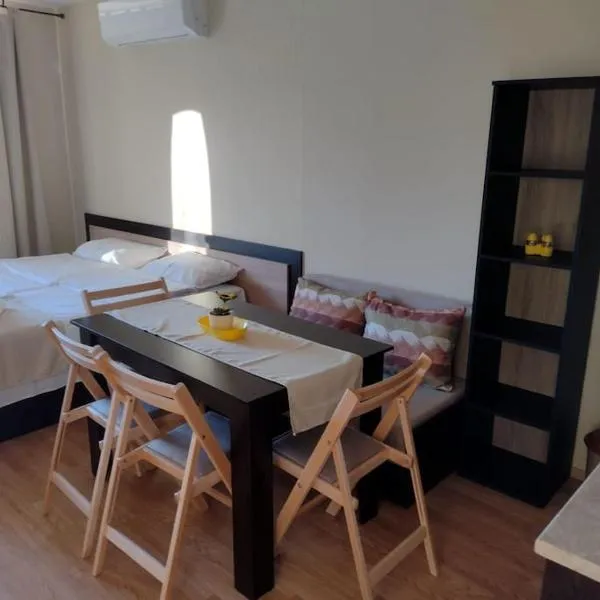 Студио Пацо и Нина в AspenValley，位于拉兹洛格的酒店