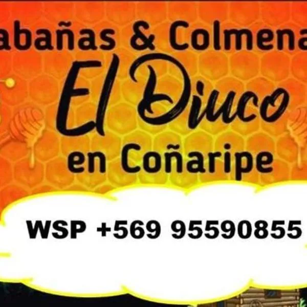 Cabañas El Diuco en Coñaripe 4，位于柯纳里佩的酒店