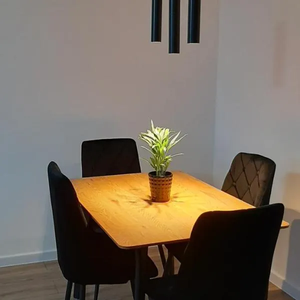 APARTAMENT Klasztorna Centrum Nowy Sącz，位于新松奇的酒店