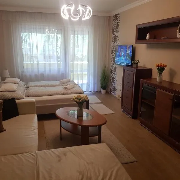 Jókai Apartman Szarvas，位于迈泽图尔的酒店