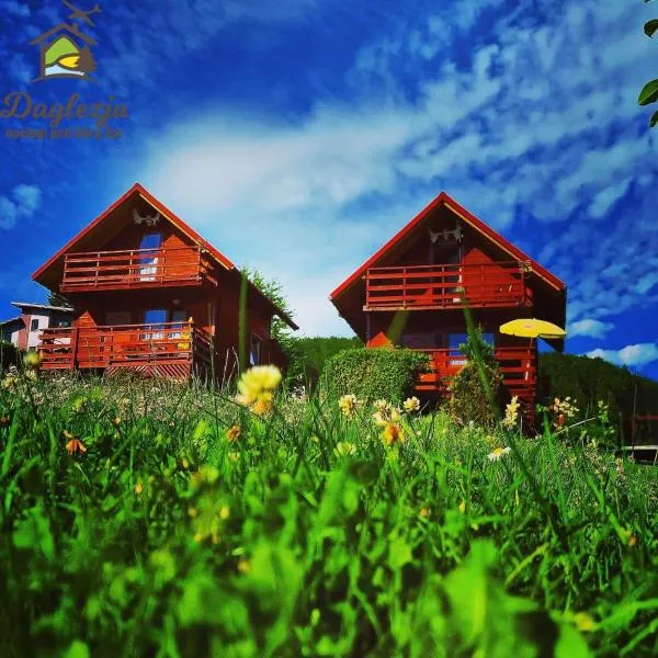 Noclegi Daglezja pod Górą Żar，位于米德尔布罗齐齐耶维奇的酒店