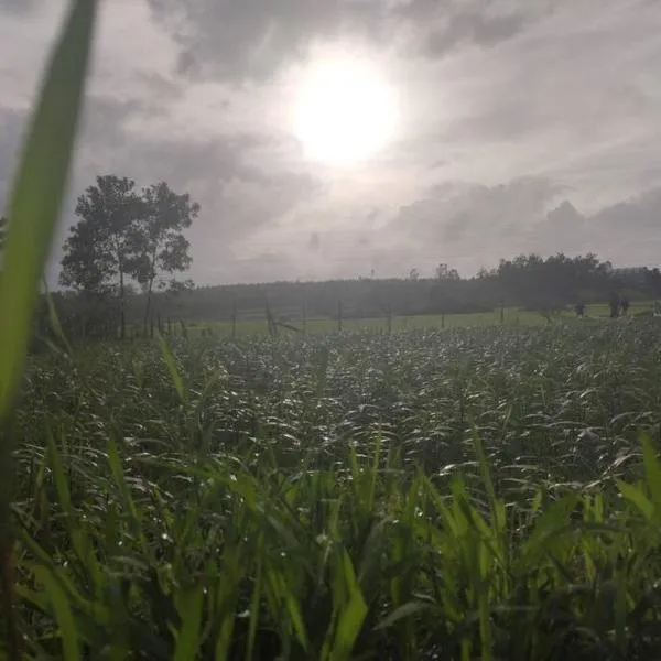 Kamanabillu Homestay, For jog falls travellers，位于Siddāpur的酒店