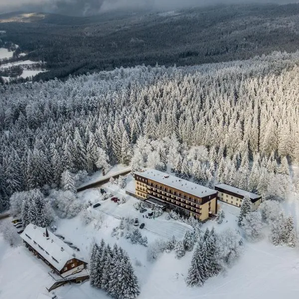 OREA Hotel Špičák Šumava，位于泽勒兹纳·鲁达的酒店