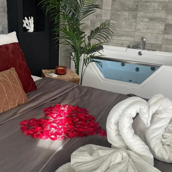 Superbe appartement avec balnéo.，位于圣西普里安的酒店