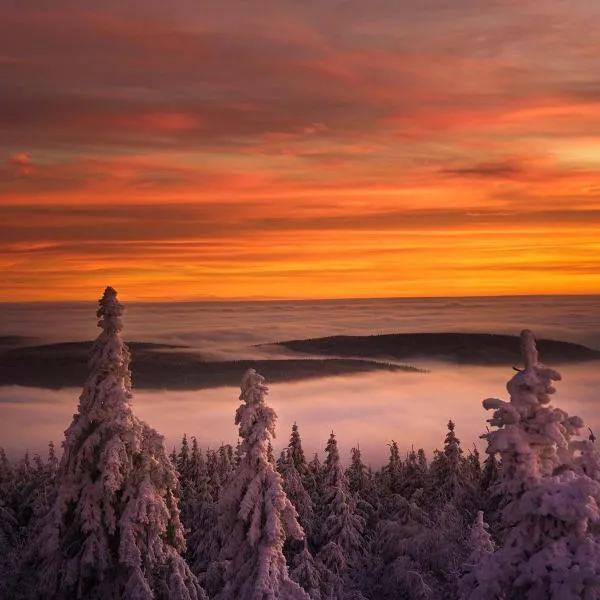 Ferienwohnung im Chaletstil Sonnenidyll 51 qm Wellness Fitness Sauna Bergrödelhof，位于Feilitzsch的酒店