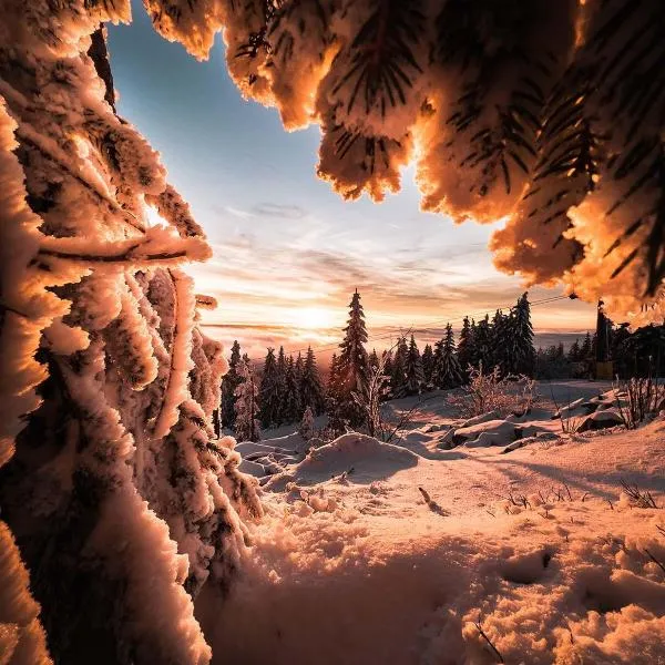 Ferienwohnung im Chaletstil Ährenglück 70 qm Wellness Fitness Sauna Bergrödelhof，位于Feilitzsch的酒店