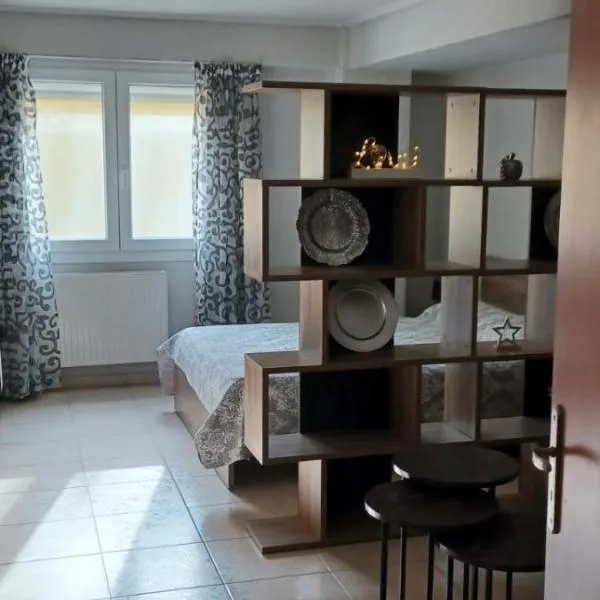 C & D Karlovasi apartment，位于卡罗维西的酒店
