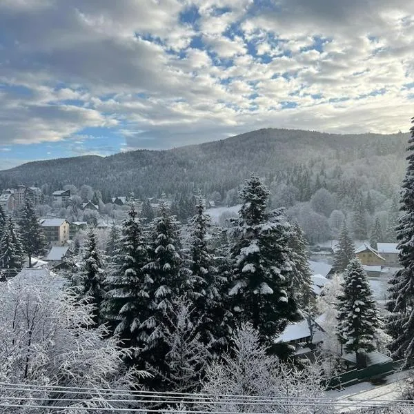 Vila Predeal Holidays，位于普雷代亚尔的酒店