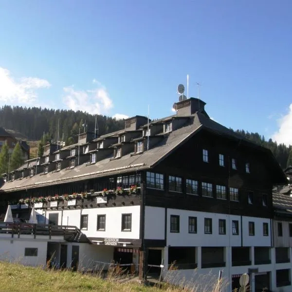 马西乌斯阿尔卑斯酒店，位于Stranig的酒店