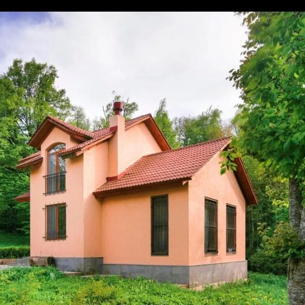 Dilijan Dream House! 3 Bedroom Amazing Villa in National Park!，位于迪利然的酒店