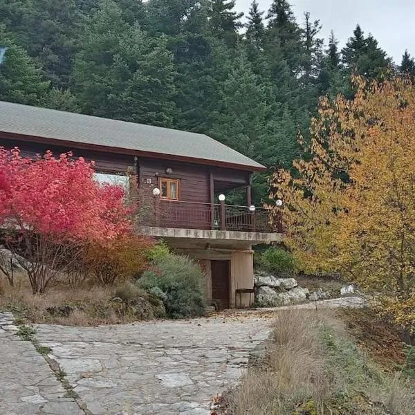 Rados chalet，位于Rádhos的酒店