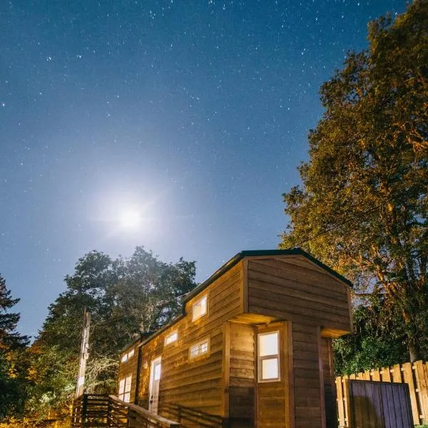 Umpqua's Last Resort - Wilderness Cabins, RV Park & Glamping，位于Idleyld Park的酒店