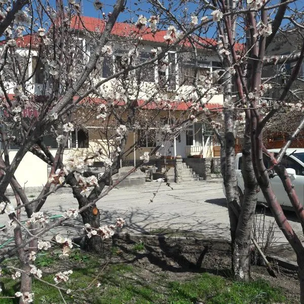 Ani Hotel，位于Spandaryan的酒店