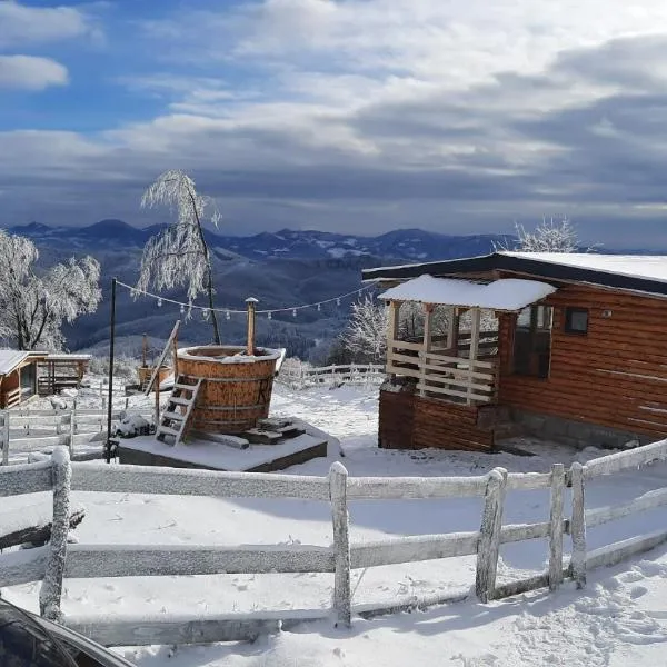 Cabana Himalaya Lodge cu ciubăr din inima munților Apuseni- masivul Buces -Vulcan，位于Brad的酒店