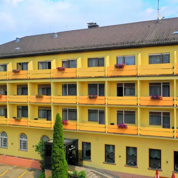 Hotel Bayerischer Hof，位于Nüdlingen的酒店