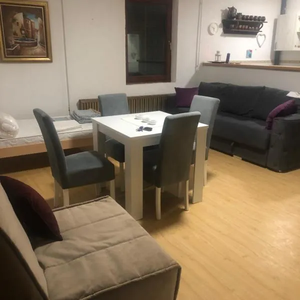 Apartman Petrovic- 300m od gondole，位于布尔泽策的酒店