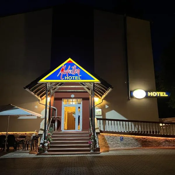 勋章酒店，位于马格德堡的酒店
