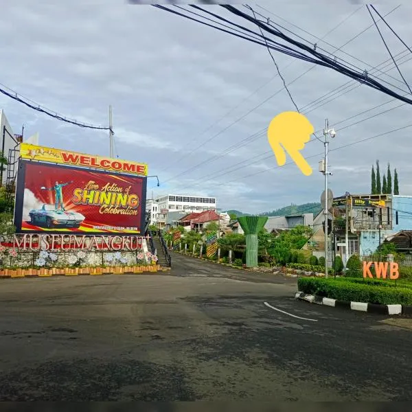 莉莉别墅，位于巴图的酒店