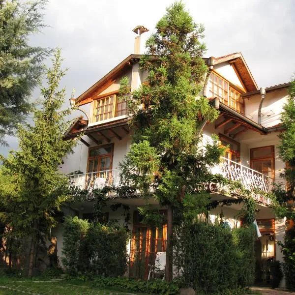 阿姆坲拉公园酒店，位于Bosnek的酒店
