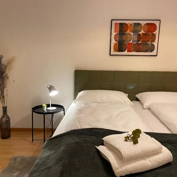 Comfort 1 and 2BDR Apartment close to Zurich Airport，位于苏黎世的酒店