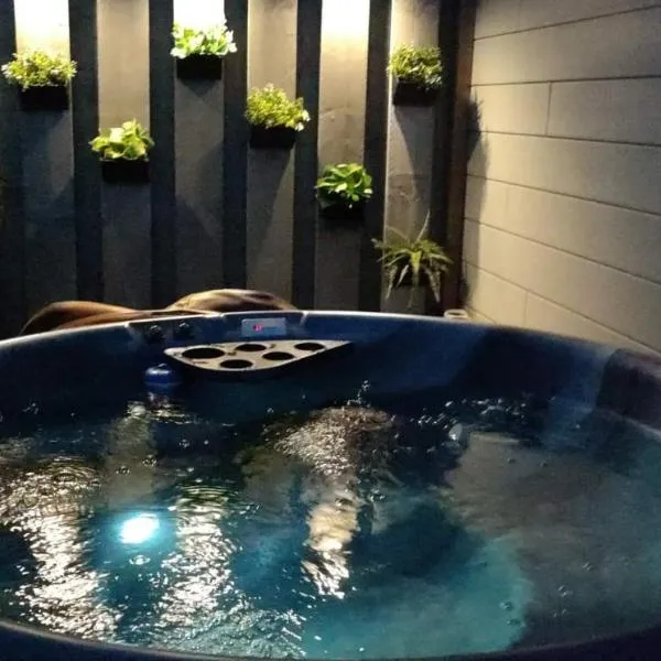 Maas Chalet Aldeneik，位于马塞克的酒店