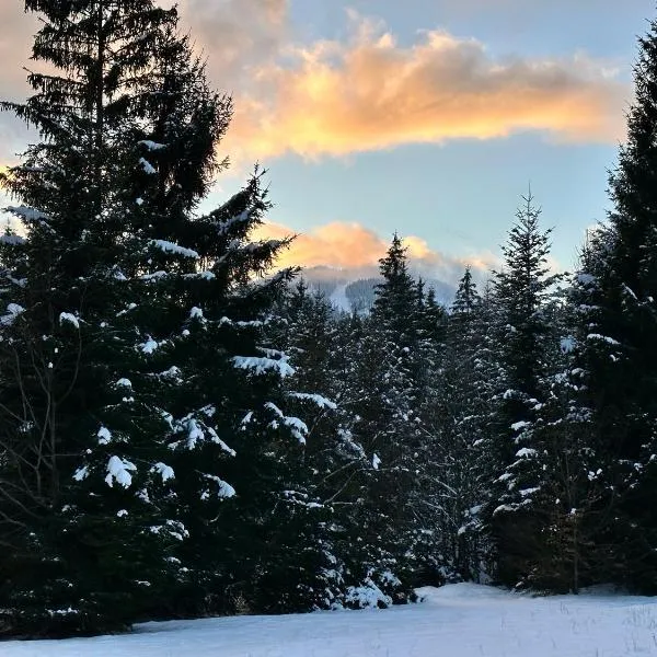 Maiers Hotel，位于拜尔里舍艾森施泰恩的酒店