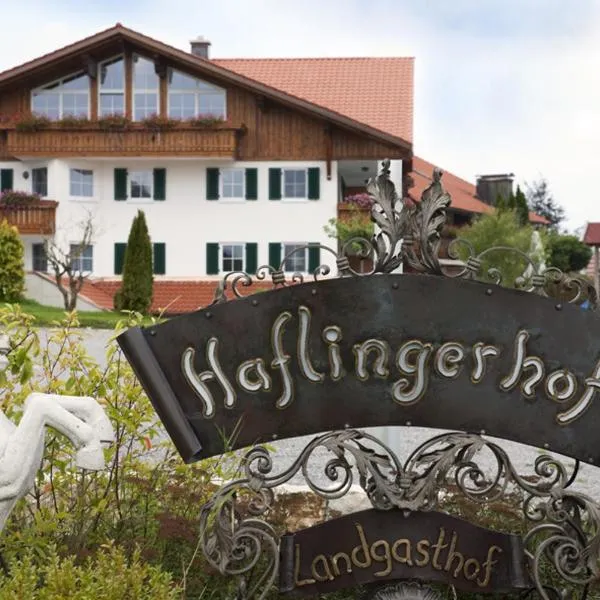 哈弗林格霍夫酒店，位于Helmenstein的酒店