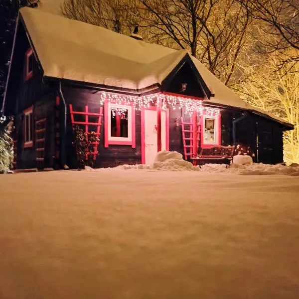 Agroturystyka Husinka pl，位于Husinka的酒店