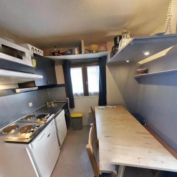 MyHome - Plein Soleil 36 - Studio cabine 4 pax ski in&out，位于蒂涅的酒店