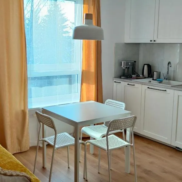 Młynarska - słoneczne apartamenty，位于皮瑟兹诺的酒店