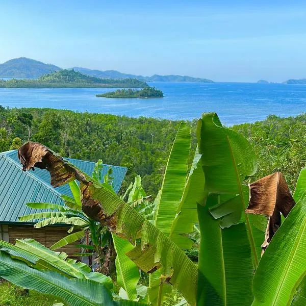 Green Hill Restaurant & Cottages，位于圣维森特的酒店