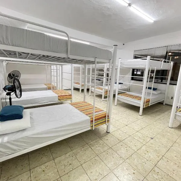 Vive Alegria Hostel，位于巴亚尔塔港的酒店