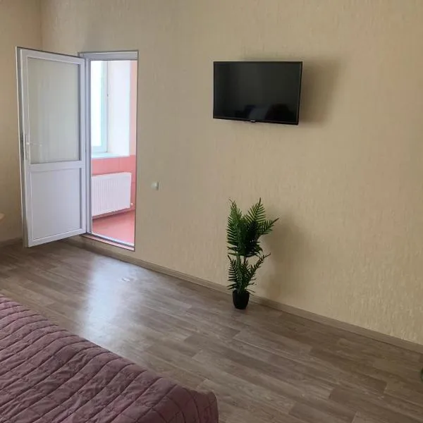 Apartment on Mira avenue，位于Staraya Nekrasovka的酒店