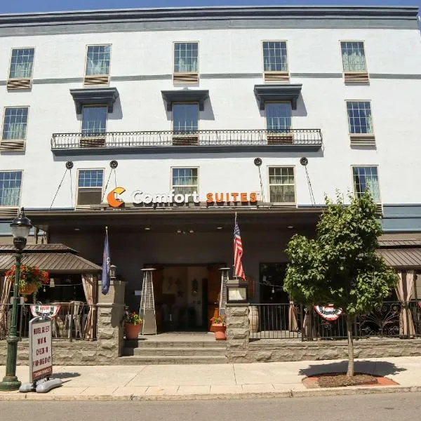 卡莱尔市中心舒适套房酒店，位于Dillsburg的酒店