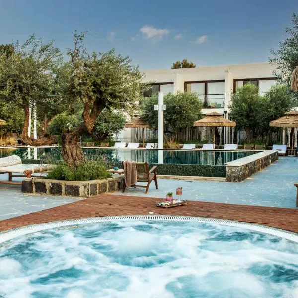 Pereh Mountain Resort，位于Kidmat Tsvi的酒店