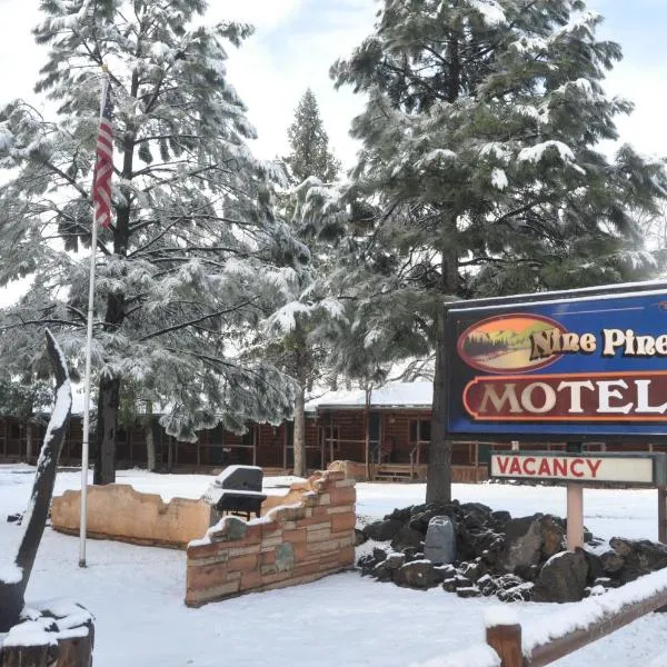 Nine Pines Motel，位于派托普湖畔的酒店