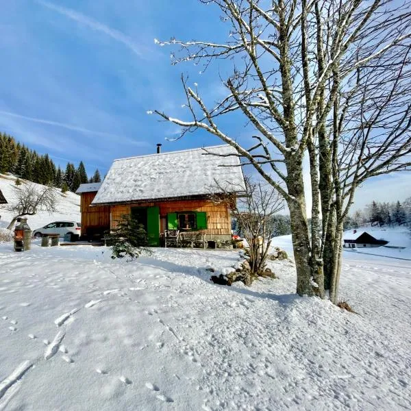 Chalet Hike&Bike above Bohinj valley，位于博希尼的酒店