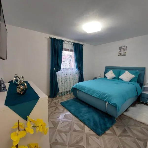 Maria's Dream House，位于泽尔内什蒂的酒店